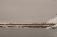
DSC00140